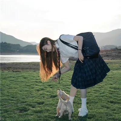 摇滚藏獒蓝色光芒封面